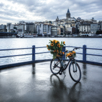 SEFO - YİNE SENİ SEVERDİM