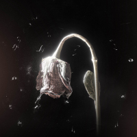 HEIJAN - DEĞİLİM BİR AŞIK