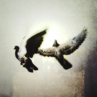 POIZI & SNOW - GEÇMİŞİMDEN KAÇTIM