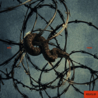 MAİ & FREDD - HALKALAR