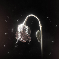 HEIJAN - DEĞİLİM BİR AŞIK