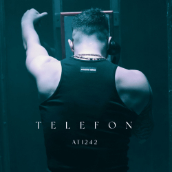 ATİ242 - TELEFON